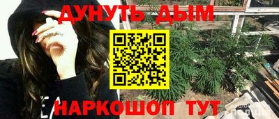 ешки Камышлов